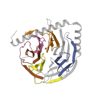 The deposited structure of PDB entry 5gap contains 4 copies of Pfam domain PF00400 (WD domain, G-beta repeat) in U4/U6 small nuclear ribonucleoprotein PRP4. Showing 4 copies in chain F [auth H].