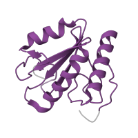 The deposited structure of PDB entry 5gap contains 1 copy of Pfam domain PF02966 (Mitosis protein DIM1) in Spliceosomal protein DIB1. Showing 1 copy in chain H [auth D].