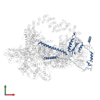 U4/U6 small nuclear ribonucleoprotein PRP3 in PDB entry 5gap, assembly 1, front view.