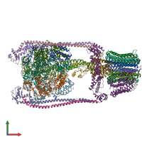 PDB entry 5gas coloured by chain, front view.