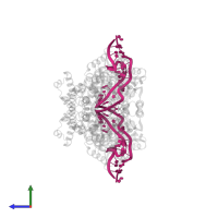 C/D RNA in PDB entry 5gio, assembly 2, side view.