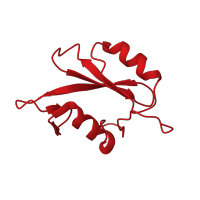 The deposited structure of PDB entry 5gjh contains 2 copies of CATH domain 3.30.505.10 (SHC Adaptor Protein) in GRB2-related adapter protein 2. Showing 1 copy in chain A.
