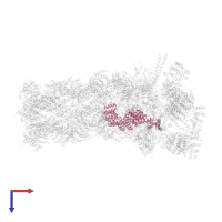 26S proteasome non-ATPase regulatory subunit 11 in PDB entry 5gjq, assembly 1, top view.