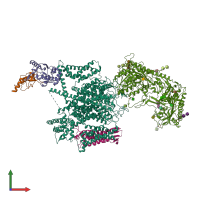 PDB entry 5gjw coloured by chain, front view.