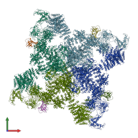 PDB entry 5gkz coloured by chain, front view.