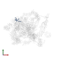 RDS3 complex subunit 10 in PDB entry 5gm6, assembly 1, front view.