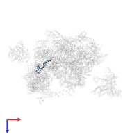 RDS3 complex subunit 10 in PDB entry 5gm6, assembly 1, top view.