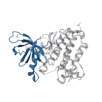 The deposited structure of PDB entry 5gnk contains 1 copy of CATH domain 3.30.200.20 (Phosphorylase Kinase; domain 1) in Epidermal growth factor receptor. Showing 1 copy in chain A.