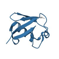 The deposited structure of PDB entry 5gog contains 1 copy of Pfam domain PF00240 (Ubiquitin family) in Ubiquitin. Showing 1 copy in chain B.