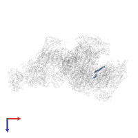Cytochrome c oxidase subunit 7A1, mitochondrial in PDB entry 5gpn, assembly 1, top view.