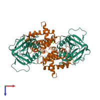 Hetero tetrameric assembly 1 of PDB entry 5gqq coloured by chemically distinct molecules, top view.