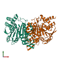 PDB entry 5gri coloured by chain, front view.