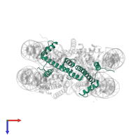 Histone H3.1 in PDB entry 5gt3, assembly 1, top view.