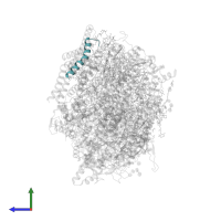 Photosystem II reaction center protein Psb30 in PDB entry 5gth, assembly 1, side view.