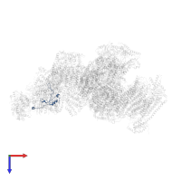 NADH dehydrogenase [ubiquinone] iron-sulfur protein 4, mitochondrial in PDB entry 5gup, assembly 1, top view.