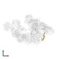 NADH dehydrogenase [ubiquinone] 1 beta subcomplex subunit 7 in PDB entry 5gup, assembly 1, front view.