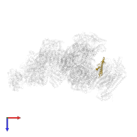 NADH dehydrogenase [ubiquinone] 1 beta subcomplex subunit 7 in PDB entry 5gup, assembly 1, top view.