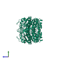 UDP-glucose 4-epimerase in PDB entry 5gy7, assembly 1, side view.