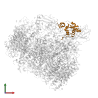 Photosystem II extrinsic protein U in PDB entry 5h2f, assembly 1, front view.