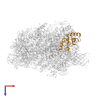 Photosystem II extrinsic protein U in PDB entry 5h2f, assembly 1, top view.