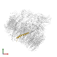 Cytochrome b559 subunit beta in PDB entry 5h2f, assembly 1, front view.