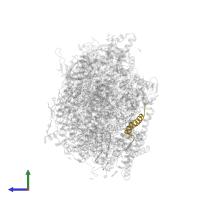 Cytochrome b559 subunit beta in PDB entry 5h2f, assembly 1, side view.