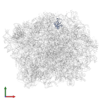 Large ribosomal subunit protein eL31A in PDB entry 5h4p, assembly 1, front view.