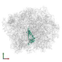 60S ribosomal export protein NMD3 in PDB entry 5h4p, assembly 1, front view.