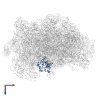 Eukaryotic translation initiation factor 6 in PDB entry 5h4p, assembly 1, top view.