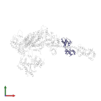 Myosin light chain 1/3, skeletal muscle isoform in PDB entry 5h53, assembly 1, front view.