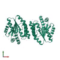 Thymidylate kinase in PDB entry 5h56, assembly 1, front view.
