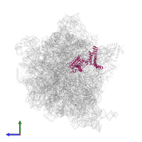 Peptide chain release factor RF2 in PDB entry 5h5u, assembly 1, side view.