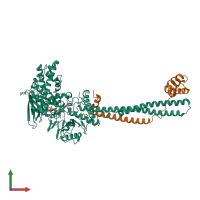 PDB entry 5h6q coloured by chain, front view.