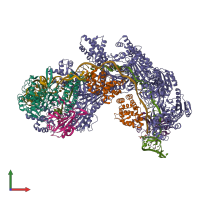 Hetero 14-meric assembly 1 of PDB entry 5h9f coloured by chemically distinct molecules, front view.