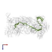 crRNA (61-MER) in PDB entry 5h9f, assembly 1, top view.