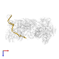DNA (28-MER) Non-target in PDB entry 5h9f, assembly 1, top view.