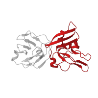 The deposited structure of PDB entry 5hc1 contains 4 copies of Pfam domain PF19215 (Coronavirus replicase NSP15, uridylate-specific endoribonuclease) in Uridylate-specific endoribonuclease nsp11. Showing 1 copy in chain D.