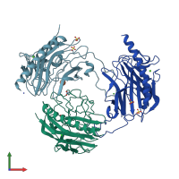PDB entry 5hca coloured by chain, front view.