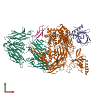 PDB entry 5hcd coloured by chain, front view.