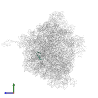 Large ribosomal subunit protein bL34 in PDB entry 5hcp, assembly 2, side view.