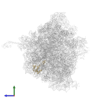 Large ribosomal subunit protein uL23 in PDB entry 5hcq, assembly 2, side view.