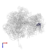 Small ribosomal subunit protein uS5 in PDB entry 5hcq, assembly 2, top view.