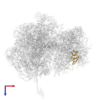 30S ribosomal protein S8 in PDB entry 5hcq, assembly 2, top view.
