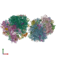PDB entry 5hcr coloured by chain, front view.