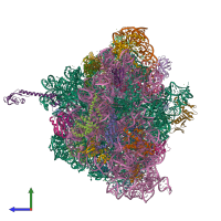 Hetero 55-meric assembly 1 of PDB entry 5hd1 coloured by chemically distinct molecules, side view.