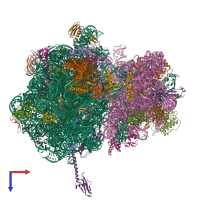 Hetero 55-meric assembly 1 of PDB entry 5hd1 coloured by chemically distinct molecules, top view.