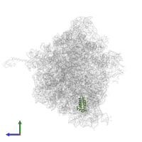 Large ribosomal subunit protein bL17 in PDB entry 5hd1, assembly 2, side view.