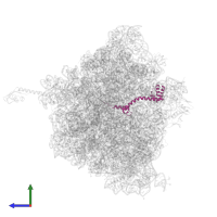 Large ribosomal subunit protein bL20 in PDB entry 5hd1, assembly 2, side view.