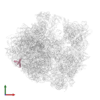 Large ribosomal subunit protein uL29 in PDB entry 5hd1, assembly 2, front view.