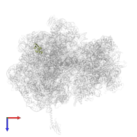 Large ribosomal subunit protein uL30 in PDB entry 5hd1, assembly 2, top view.